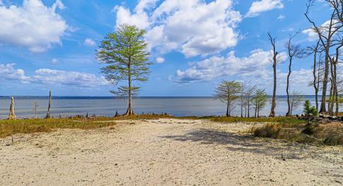 Waterfront Lot in Neuse Point East