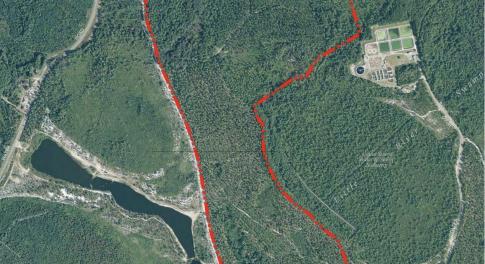 Image 4-16-26 at 10.19PM