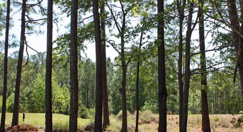 6408 Castlebrook Way