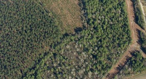 TBD Huffmantown Road