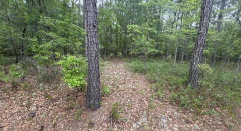 image_cropper_71264EC2-6315-42FB-AE77-7B