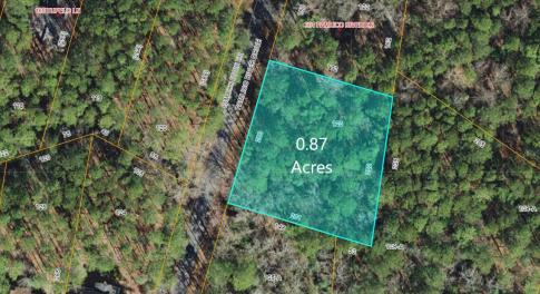 411 Pamlico River Dr Lot 123
