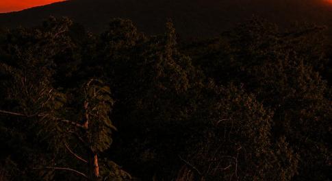 aftersunsetskeenview