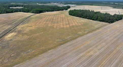 Tract #2 N Duffie Rd Red Springs, NC