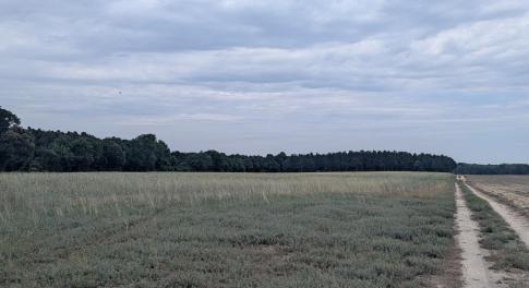 Farm Pic