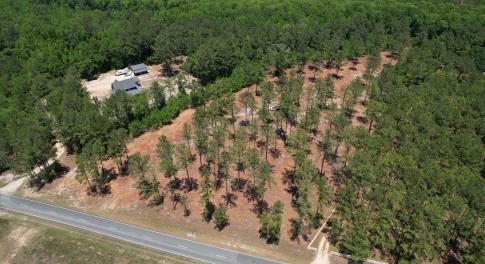 Beautiful 8.42-acres in Bladin Co!
