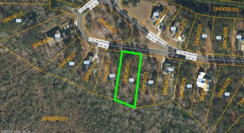 GIS SHOT - 201 Lockhaven