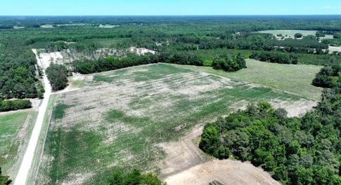 Sand Rock Rd Tract 1