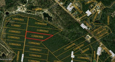 Bruns GIS - Satellite