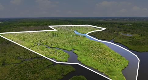 17-web-or-mls-Property Line_view2