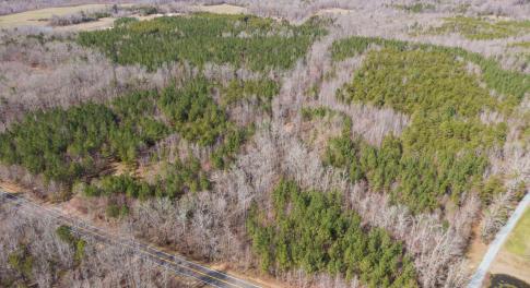 DJI_0102-Edit