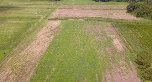DJI_0083