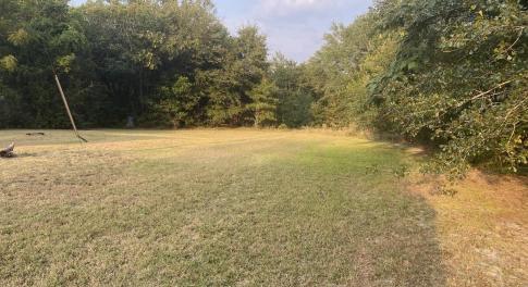 Side Yard