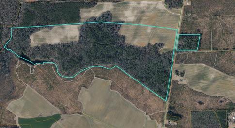 Edgecombe County, NC_screenshot_17841264