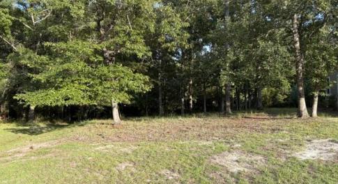 1579 Golden Marsh Court