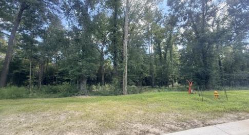 Lot 571