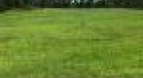 60.61 Acres Emma Cannon Road
