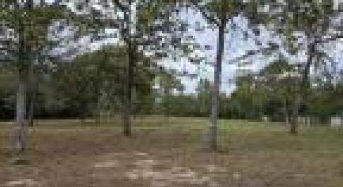 20261015205417584591000000