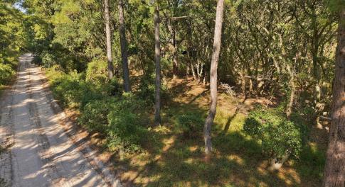 Wooded Lot