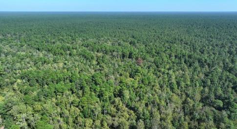 Angola Bay Hunting Land