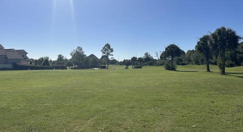 From Back of Lot Looking Toward Street