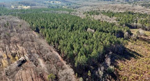13-web-or-mls-Dewitt Smith Rd-013