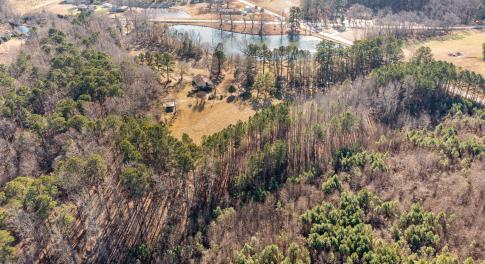 Olive Branch Prof. Picture #10