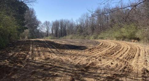 0 Oak Forest, Four Oaks- Pic 3