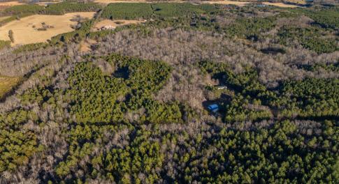 DJI_0361