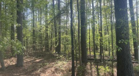 499CE538-64CD-4541-B781-8154F71B675F