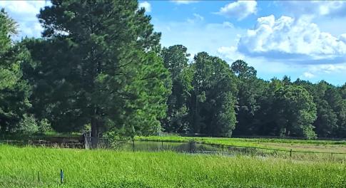 Barbour Farms