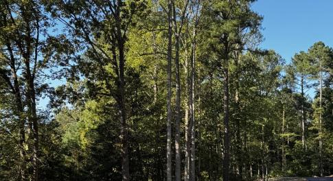 Noble Reserve