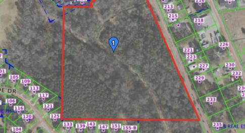 Screenshot 2025-03-24 at 11.15.35 AM