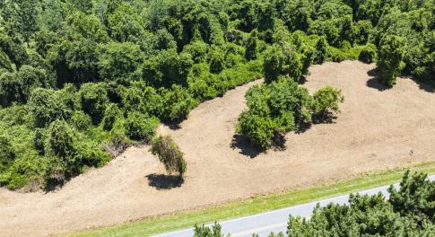 Caswell Co. NC 8.64-Skyview-Lot 6-01