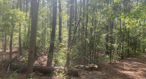 05AA8E8A-FFBE-4CC9-A41B-97B0A0E980B6