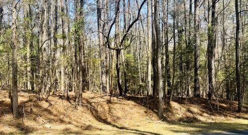 C52BD231-A39A-4824-AE5F-2B1A6D5F1EC3