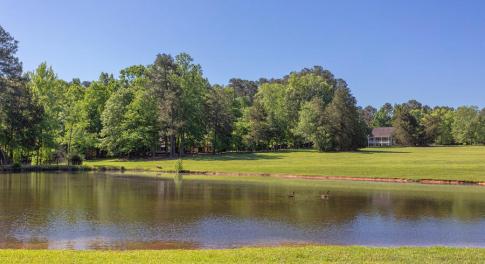 WHF pond with baby ducks