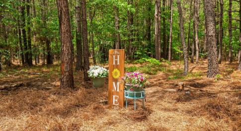 25-web-or-mls-s-plank-rd