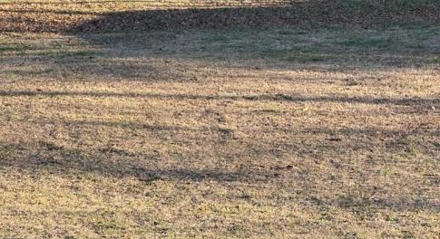 IMG_20240105_165155