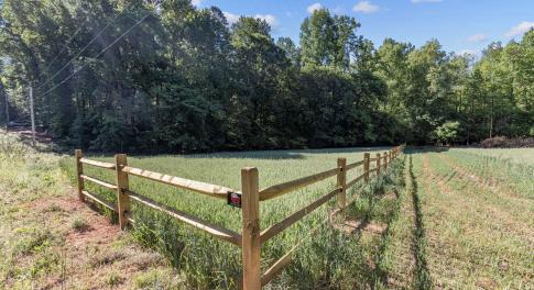 26-web-or-mls-8Y3A5294