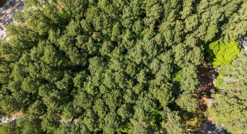 1-web-or-mls-DJI_20250523160616_0068_D