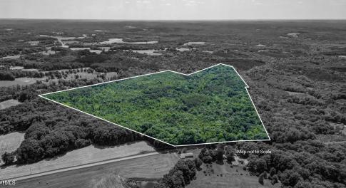Blanch Road Blanch NC 27212-large-017-00