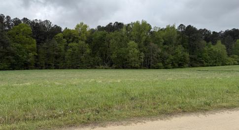 Copy of Copy of IMG_5648