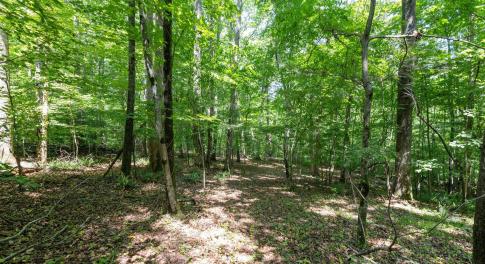 17-web-or-mls-_1397598