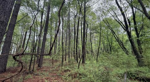 Copy of Copy of IMG_5662