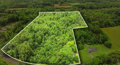 2-web-or-mls-4401 Hines Chapel Drone PL