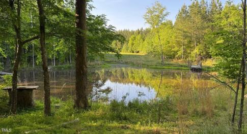 GoochsMillLot2pond