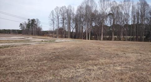 Possible Homesite