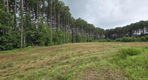 Lot 50 Roseheath pic