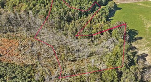 01-001-KarenCalhounRd-Chatham-Parcel-295